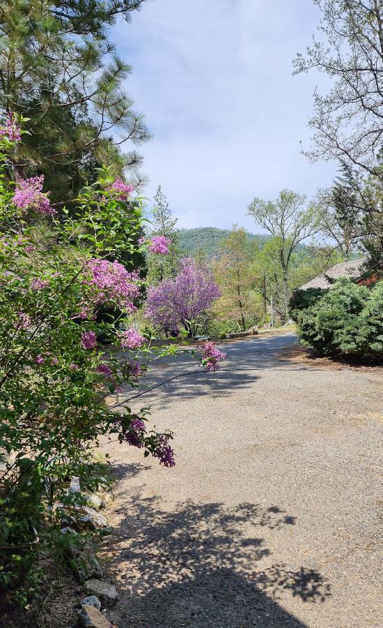 Yosemite Mountain Retreat Villa Oakhurst Kültér fotó